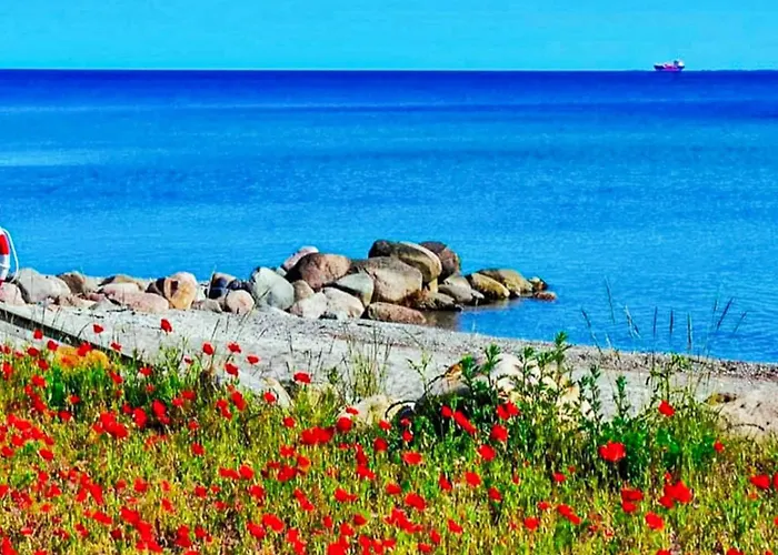 6 Person In Otterup-by Traum *